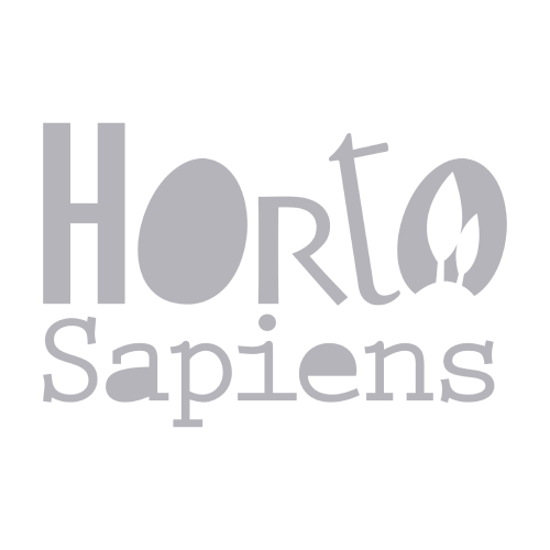 Logo cliente 21 di MIAO graphics