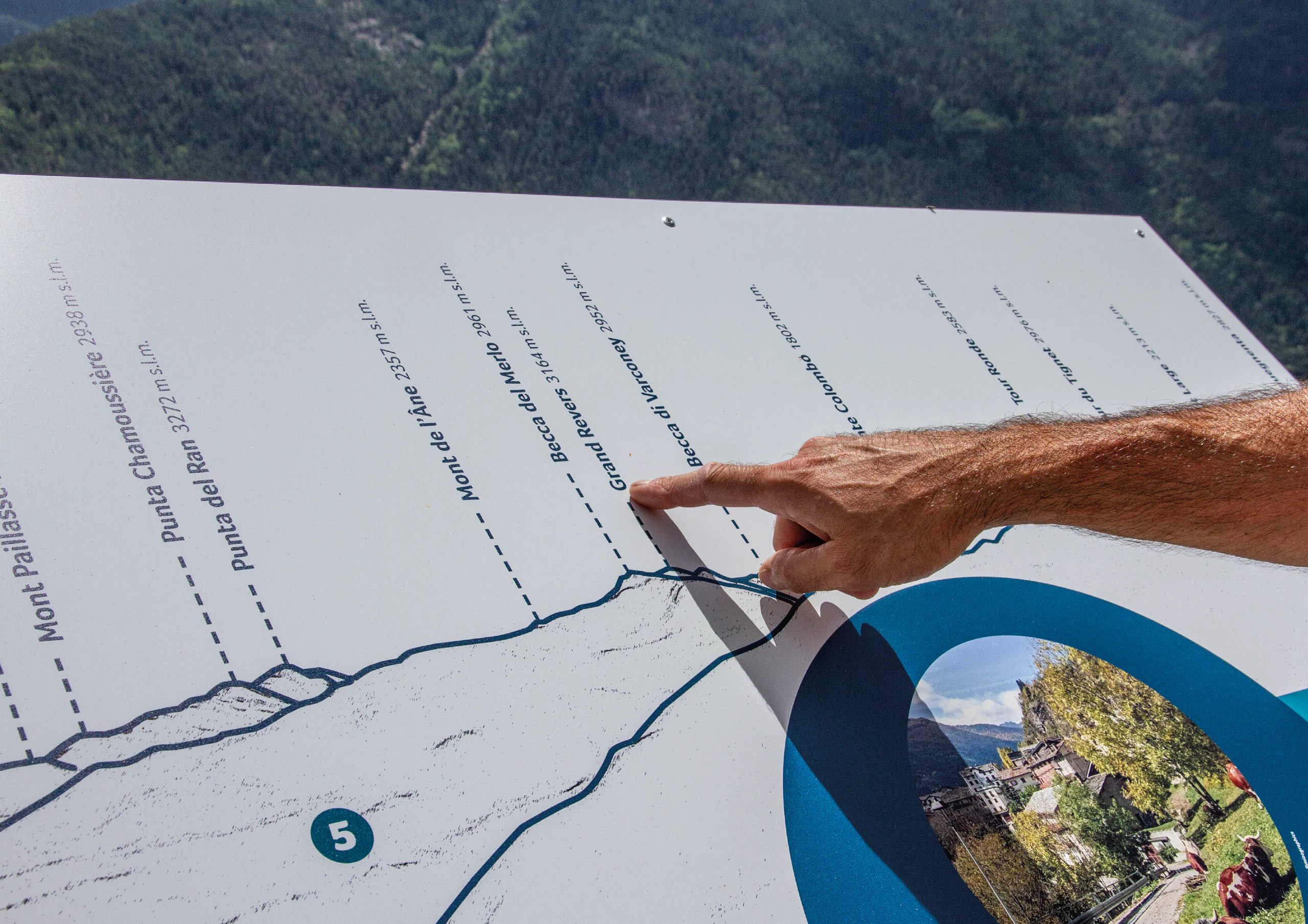 Avise - immagine di progetto 2