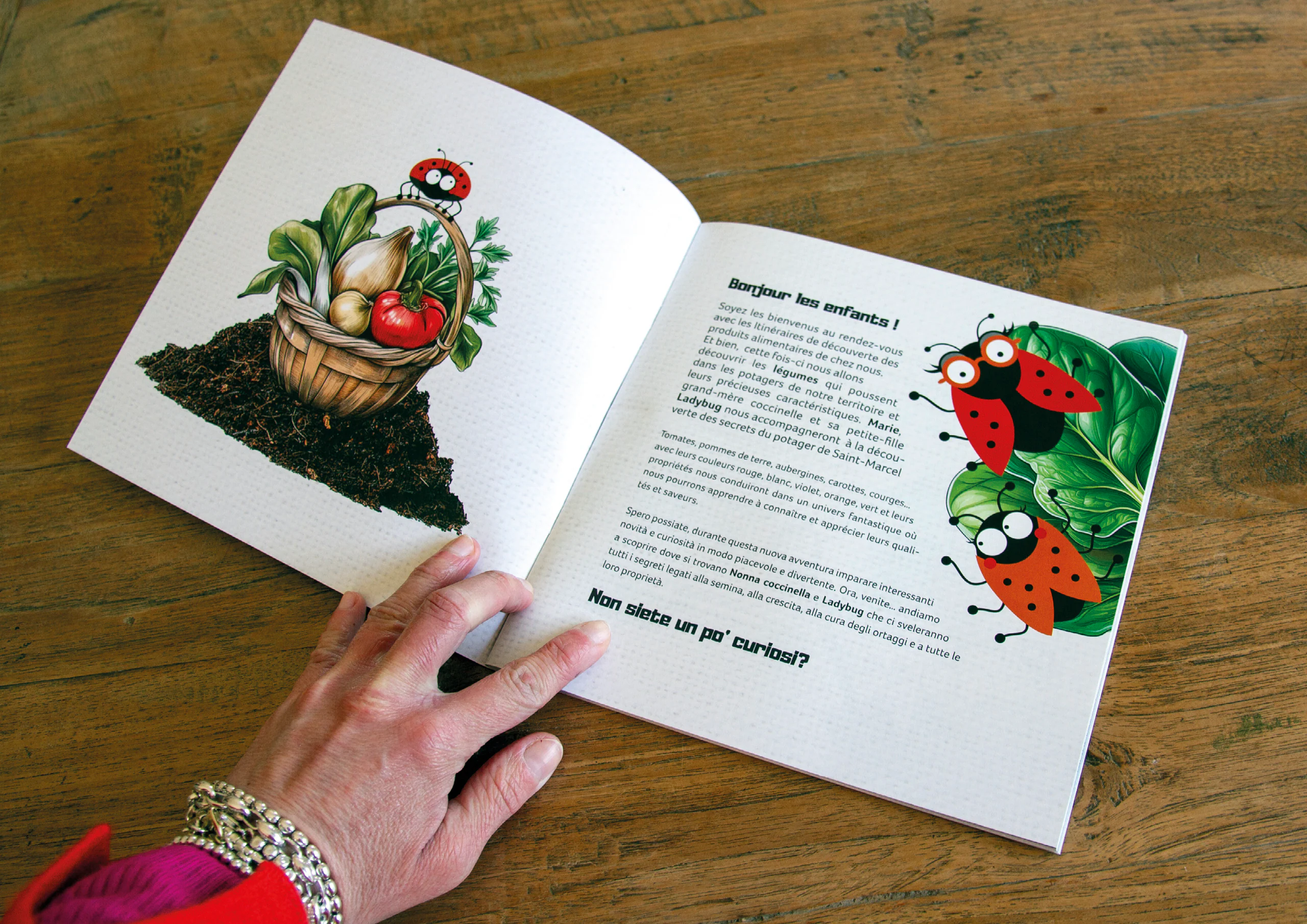 Jardin Potager, illustrazione editoriale 3