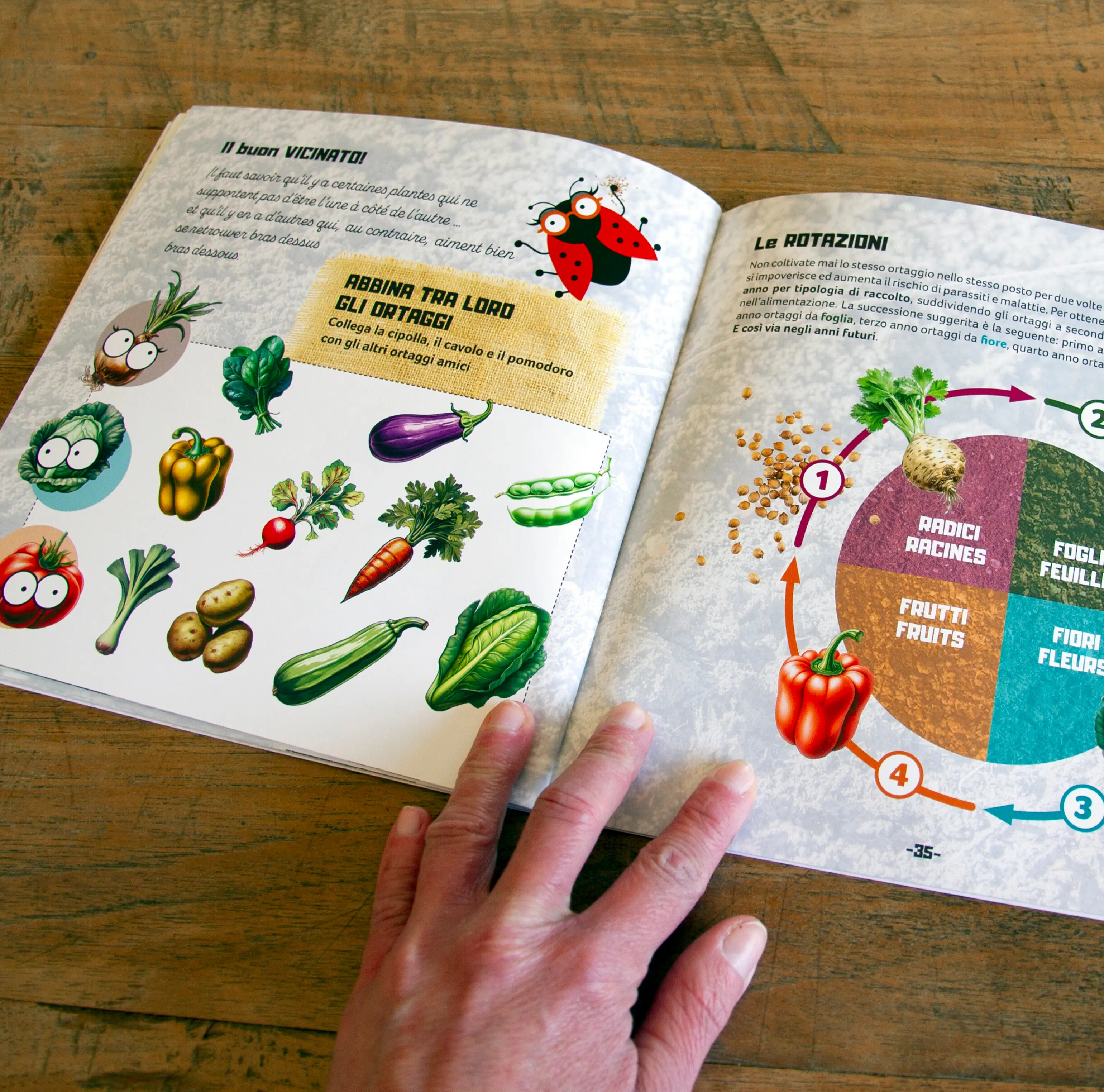 Jardin Potager